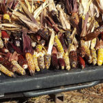 Matts-Farm-Market-Farm-in-Pennsylvania