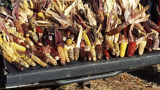 Matts-Farm-Market-Farm-in-Pennsylvania