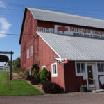 The-Buffalo-Shoppe-Inc-Farm-in-Pennsylvania