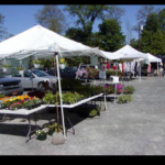 Wayne-County-Farmers-Market-Farm-in-Pennsylvania