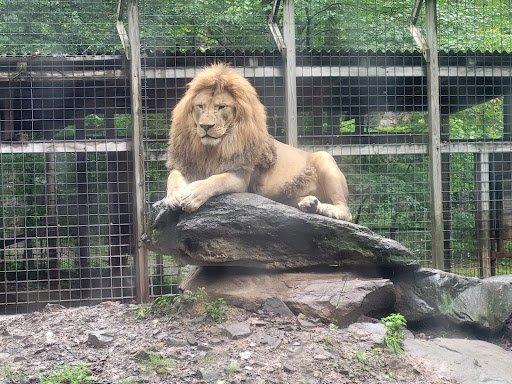 Claws N Paws Wild Animal Park Zoo in Lake Ariel Pennsylvania