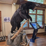 Pocono Mountains Visitors Center Lake Wallenpaupack Historical Landmark in Hawley Pennsylvania