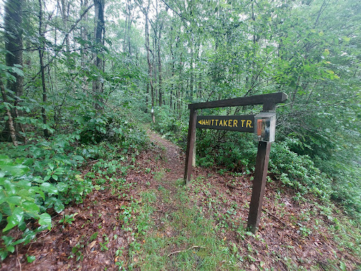 Whittaker Trailhead Hiking Area in Hemlock Farms Pennsylvania